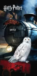 recznik-plazowy-70x140-harry-potter-sowa-hedwiga-pociag-dzieciecy