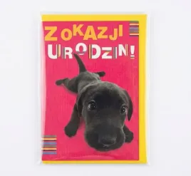 kartka-okolicznosciowa-na-urodziny-dla-milosnika-psow