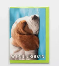 urocza-kartka-w-dniu-urodzin-spiacy-piesek
