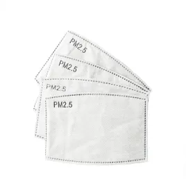 10x-filtr-hepa-pm-2-5-wegiel-dla-dzieci-10-sztuk