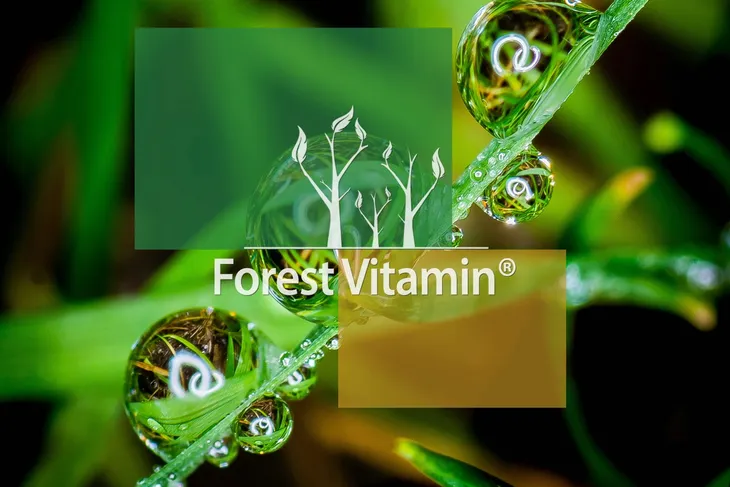 forest-vitamin-maca-500mg-100-kapsulek-marka-forest-vitamin