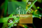 forest-vitamin-maca-500mg-100-kapsulek-marka-forest-vitamin