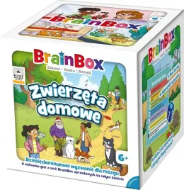 gra-brainbox-zwierzeta-domowe