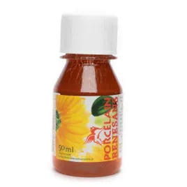 farba-do-malowania-gliny-ceramiki-i-porcelany-renesans-50ml-ochra