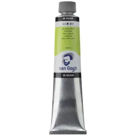 farba-olejna-talens-van-gogh-200ml-zolta-zielen-farby-olejne-profesjonalne