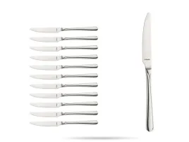 noz-stolowy-gastronomiczny-12-szt-stal-18-0-215-cm-astoria-amefa