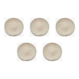 5-szt-poduszka-ozdobna-welur-bezowy-40-cm-elegancka