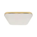 plafon-nemo-gold-17w-led-zasilanie-sieciowe