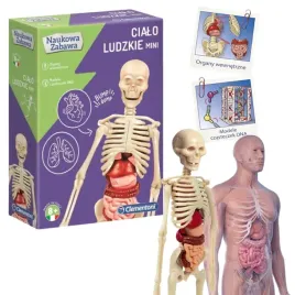clementoni-naukowa-zabawa-realistyczny-mini-model-ludzkiego-ciala-kod-dna