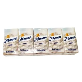 almusso-chusteczki-higieniczne-balsam-10-opakowan