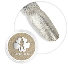 allepaznokcie-pylek-do-paznokci-silver-magic-dust
