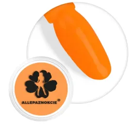 pylek-do-paznokci-smoke-nails-efekt-dymu-neon-light-orange-nr-04