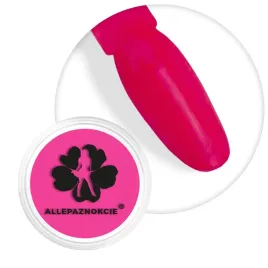 pylek-do-paznokci-smoke-nails-efekt-dymu-neon-pink-nr-09
