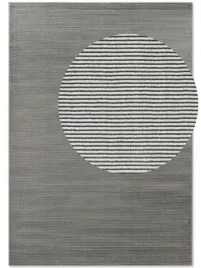 dywan-pluszowy-do-salonu-120x170cm-nowoczesny-wzor-grafitowo-kremowy