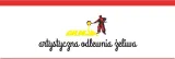plotek-do-kominka-w5-540-mm-zeliwny-zeliwo-marka-bez-marki