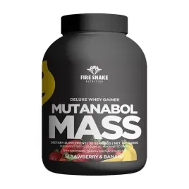 firesnake-deli-whey-mass-gainer-3000g-bialko-20percent-waxy-maize-wpc-wpi-tru-ban