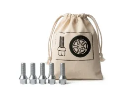 zestaw-srub-nakretek-do-kola-zapasowego-etui