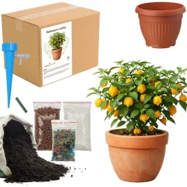 zestaw-do-upraw-habanero-zolte-doniczka-nasiona-ziemia-ogrodnik-bio-eko