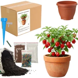 zestaw-do-upraw-habanero-czerwone-doniczka-nasiona-ziemia-ogrodnik-bio-eko