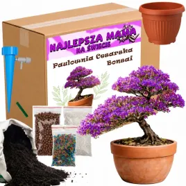 prezent-na-dzien-matki-drzewko-szczescia-bonsai-prezent-dla-mamy-najlepsza