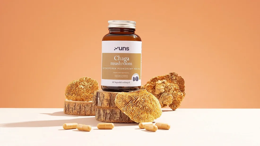 chaga-mushroom-60-kaps-vege