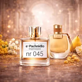nomade-nr-045-perfumy-lane-inspirowane-100ml