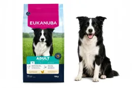 eukanuba-sucha-karma-dla-psa-rasy-sredniej-kurczak-15kg-adult