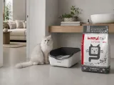 bazyl-ag-white-20l