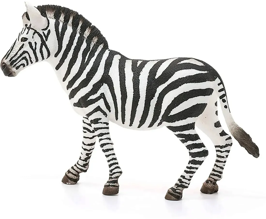 wild-life-14810s-zebra-samica