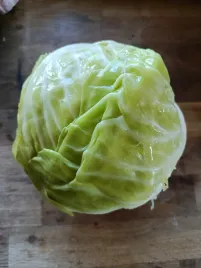 kapusta-kiszona-cala-glowka-na-golabki