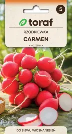 rzodkiewka-carmen-czerwona-wczesna-nasiona-10-g