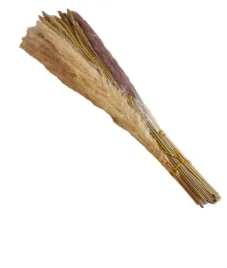 bukiet-suszonych-traw-pampasowych-43cm-65szt