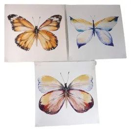 plakat-obrazek-motyl-zestaw-3-sztuk