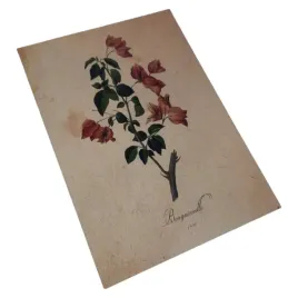 plakat-obraz-kwiaty-vintage-a4