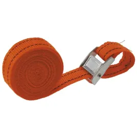 pasy-do-bagazu-2-5-m-x-25-mm-2-szt