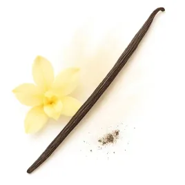 wanilia-laska-14-16-cm-wanilia-bourbon-madagaskar-jakosc-pakowane-prozniowo