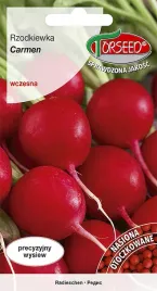 nasiona-rzodkiewka-do-uprawy-w-polu-carmen-otoczka-5g-torseed