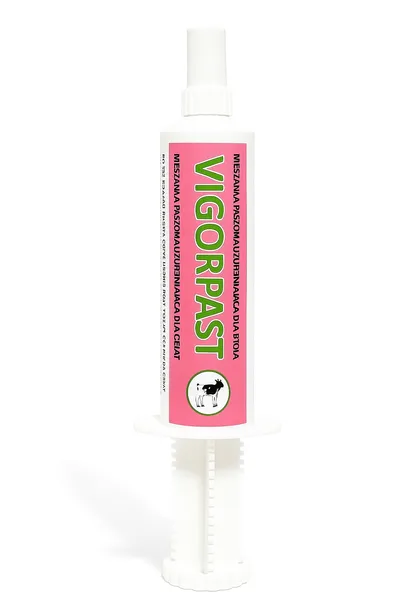 PBN Vigorpast na apetyt dla cieląt 100 ml