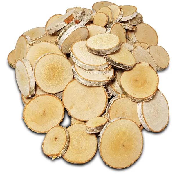 PLASTRY DREWNA BRZOZOWE Krążki 100SZT. 3-8CM