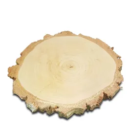 plastry-drewna-brzozowe-krazki-dwustronnie-szlifowane-22-26-cm