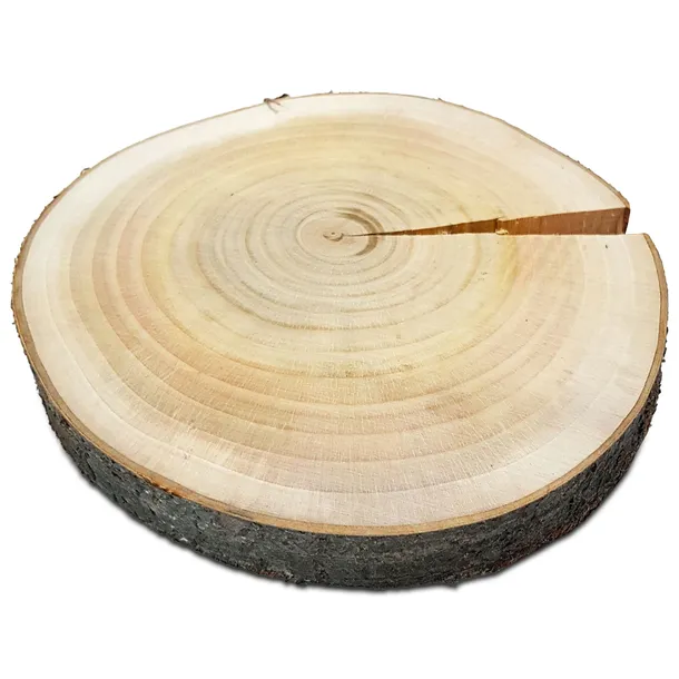 PLASTRY DREWNA CZEREŚNIA Krążki Szlifowane 18-22cm
