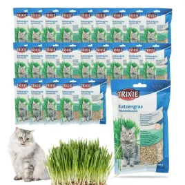 trawka-trawa-dla-kota-na-odklaczenie-nasiona-do-uprawy-trixie-24x100g