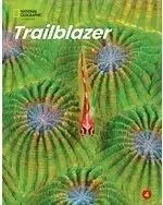 Grafika w opisie produktu