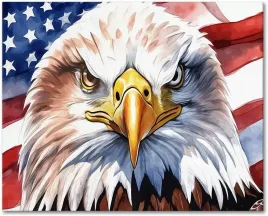 diy-malowanie-po-numerach-orzel-i-flaga-usa-40x50cm-farby-akrylowe