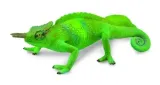 kameleon-gorski-bohater-brak