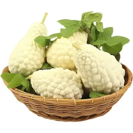 nasiona-balsamki-ogorkowatej-chinski-gorzki-melon-bialy-zestaw-10-sztuk