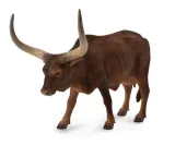 krowa-ankole-watusi-bohater-brak