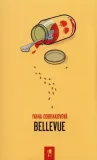 bellevue-stan-nowy