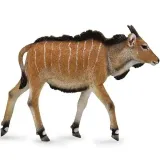 antylopa-eland-ciele