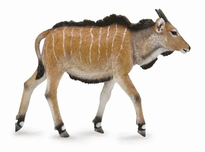antylopa-eland-ciele-bohater-brak